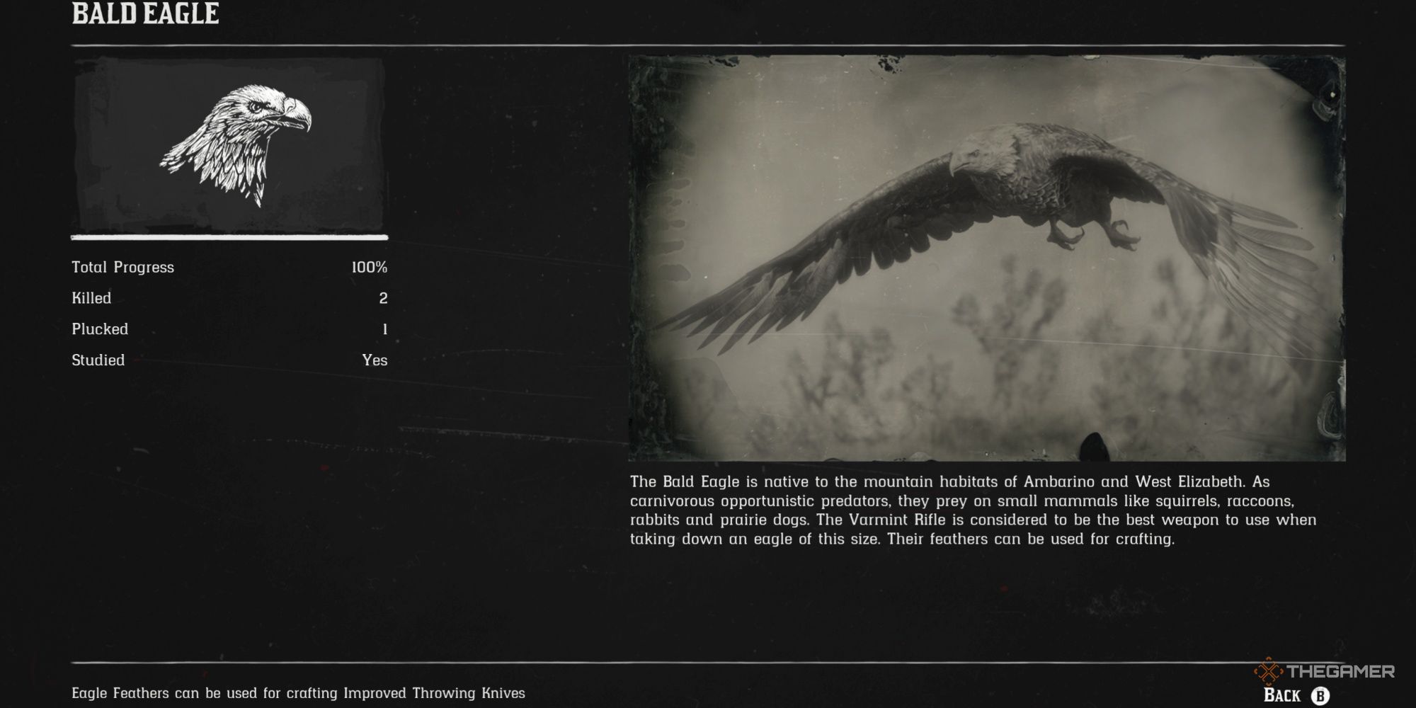 Where To Find The Hardest Non-Legendary Animals To Hunt In Red Dead ...