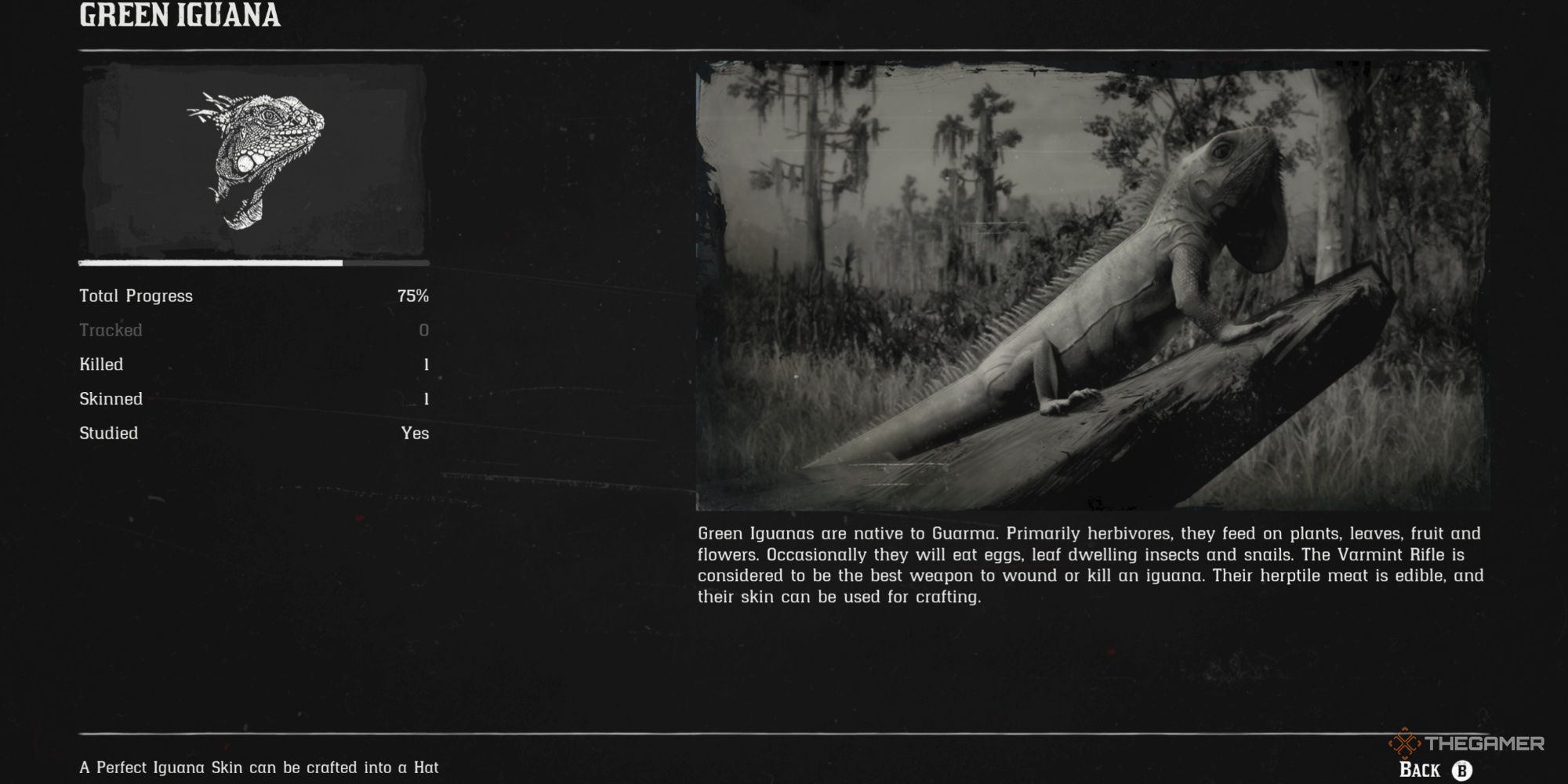 Most Rare Animals In Rdr2
