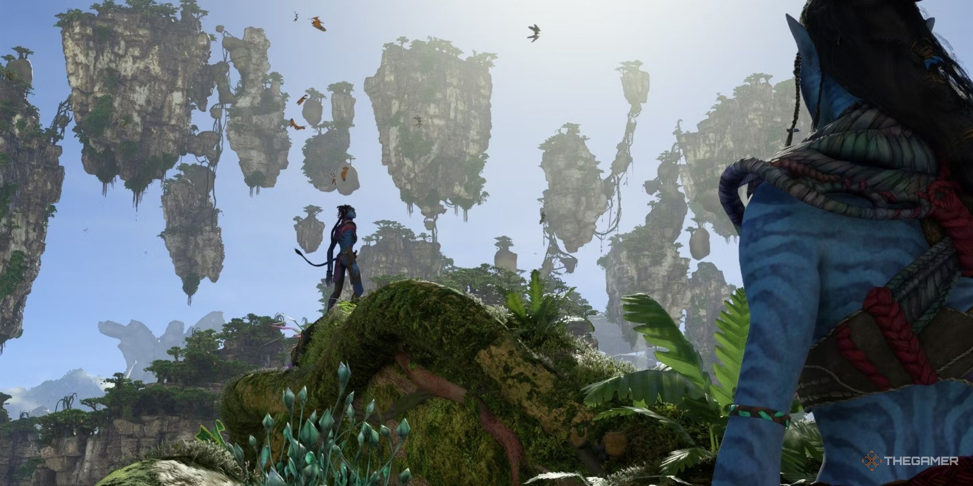 Two Na'vi in ​​the Floating Mountains Avatar Frontiers of Pandora