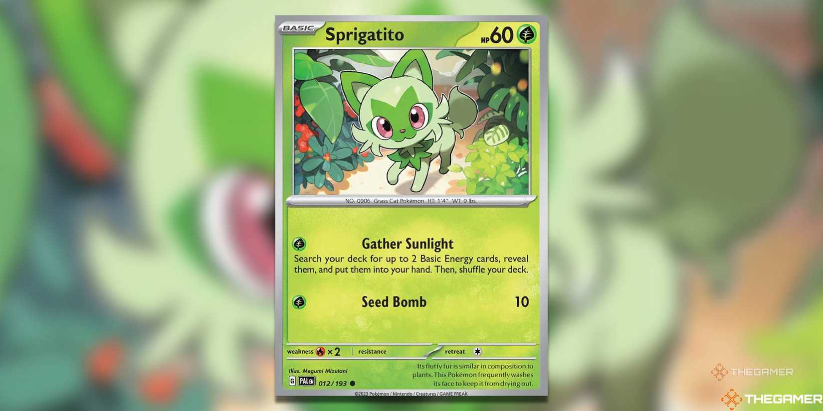 Meowscarada ex Deluxe Battle Deck Best Cards, How To Play Pokemon TCG Meowscarada ex Deluxe Battle Deck Best Cards, How To Play Pokemon TCG