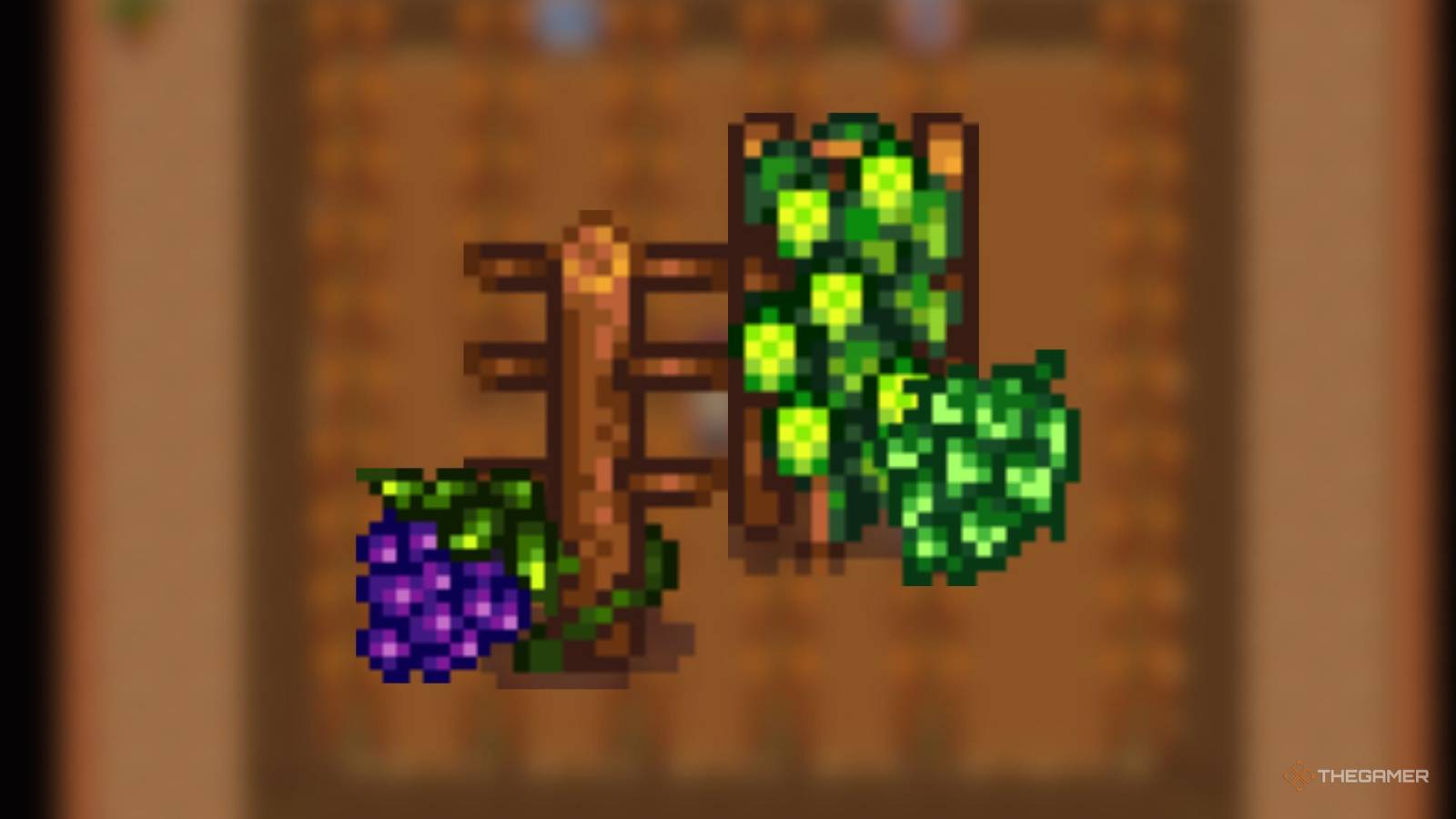 The Best Ways To Plant Trellis Crops In Stardew Valley