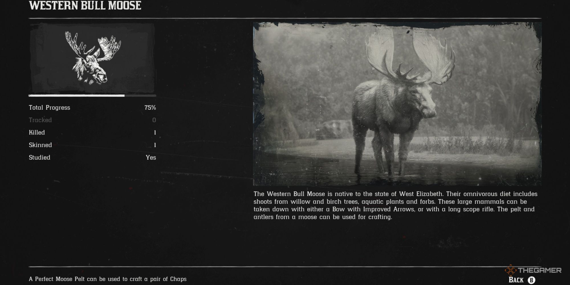 Where To Find The Hardest Non-Legendary Animals To Hunt In Red Dead ...