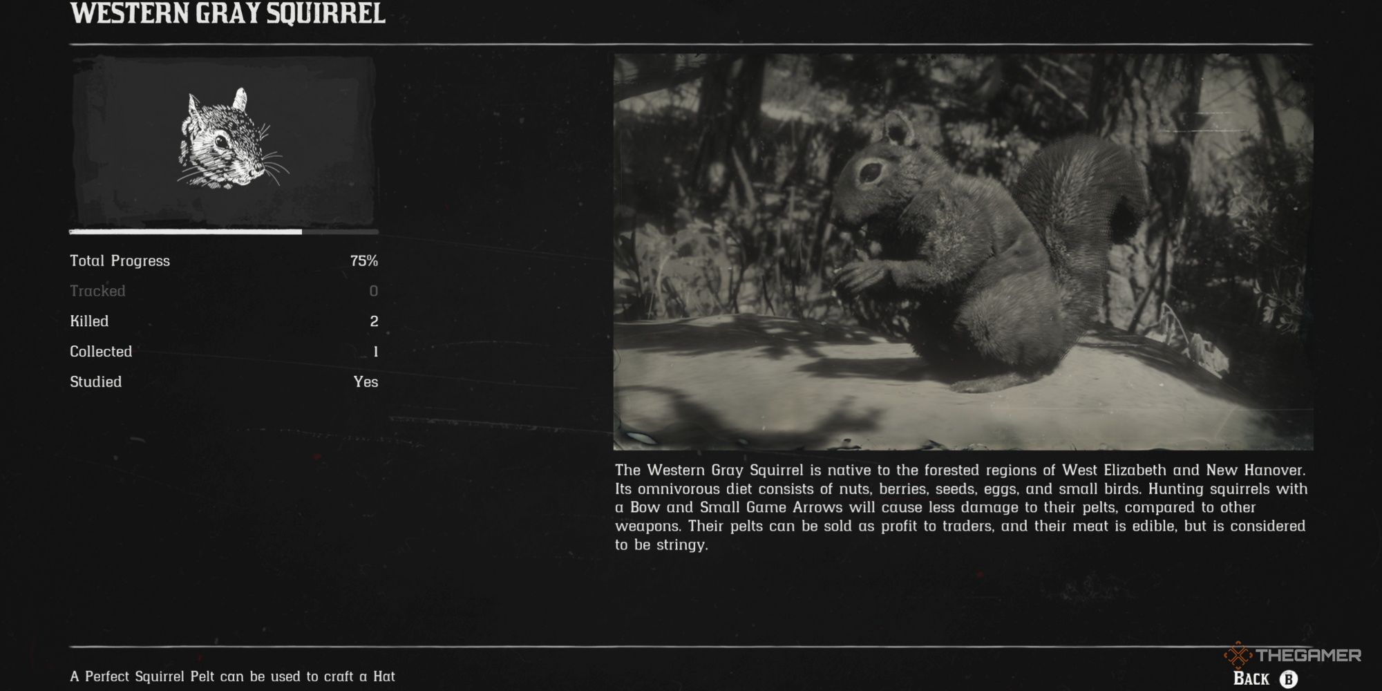 Where To Find The Hardest Non-Legendary Animals To Hunt In Red Dead ...