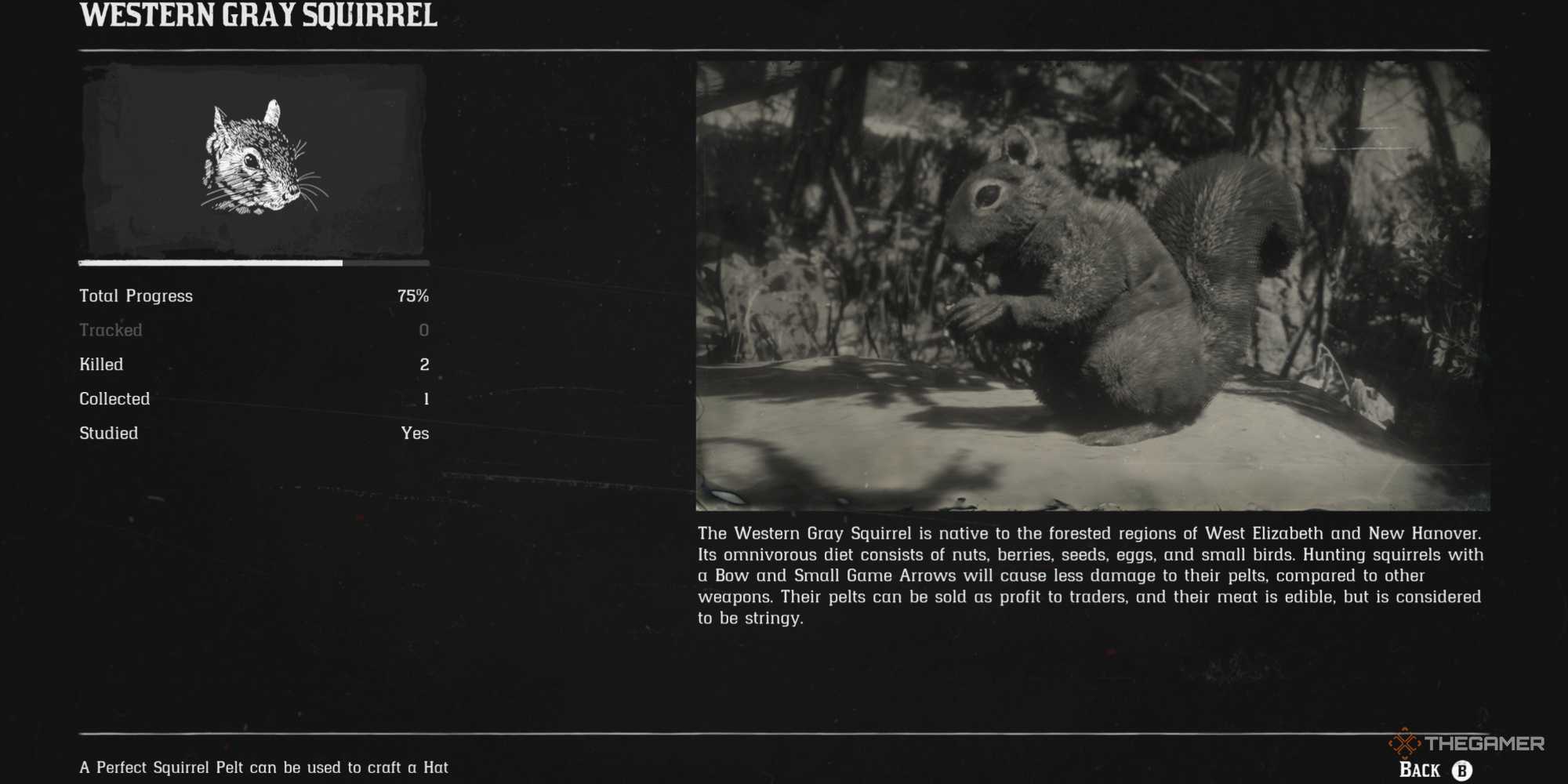 Muskrats Rdr2 Where To Find The Hardest Non-Legendary Animals To Hunt In Red Dead ...