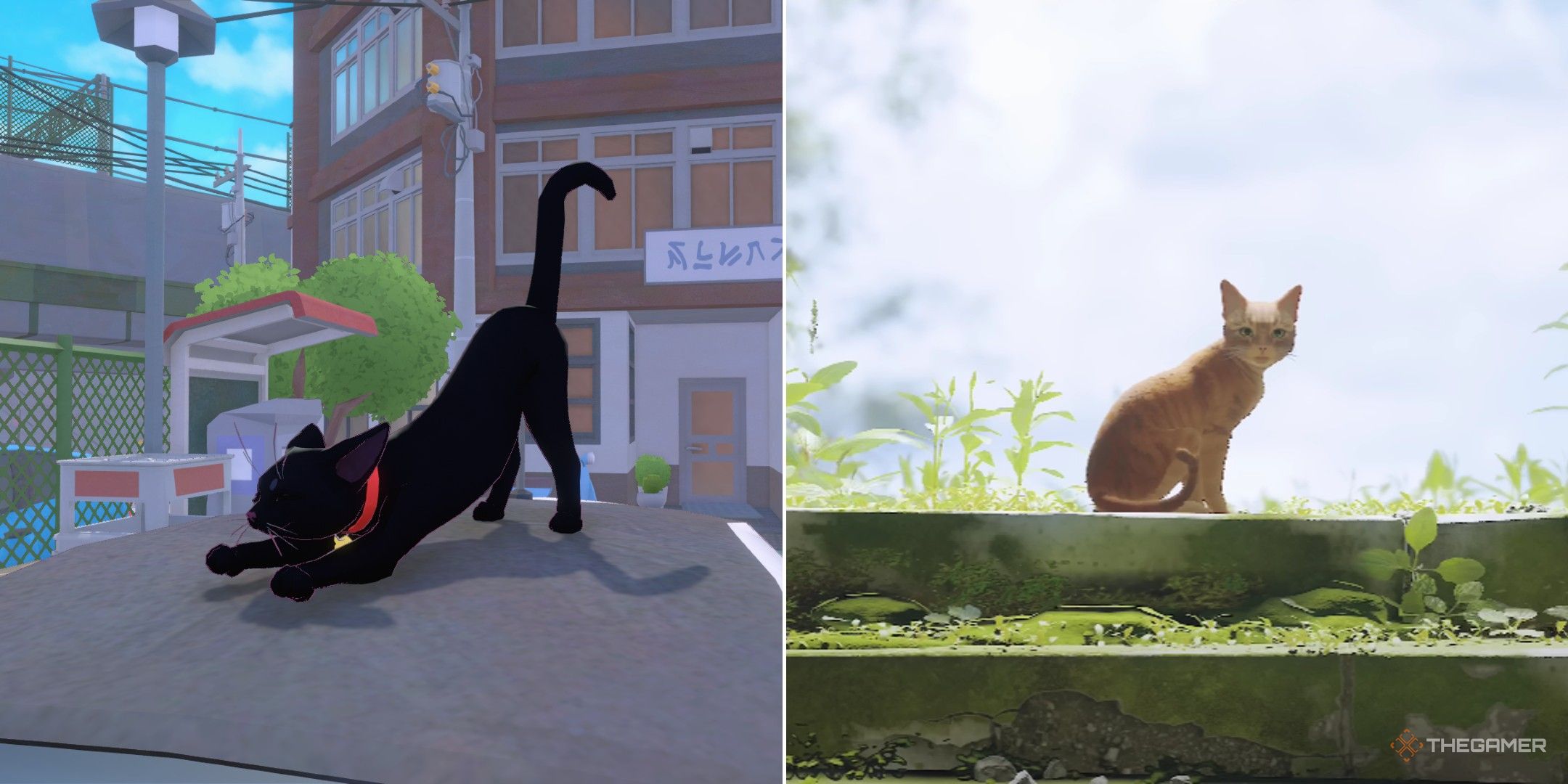 Little Kitty BIG CITYとSTRAY Little Kitty, Big City Vs. Stray - Which Game Is Better?