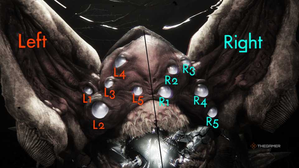 Pantheon Guide And Rewards Destiny 2 Into The Light