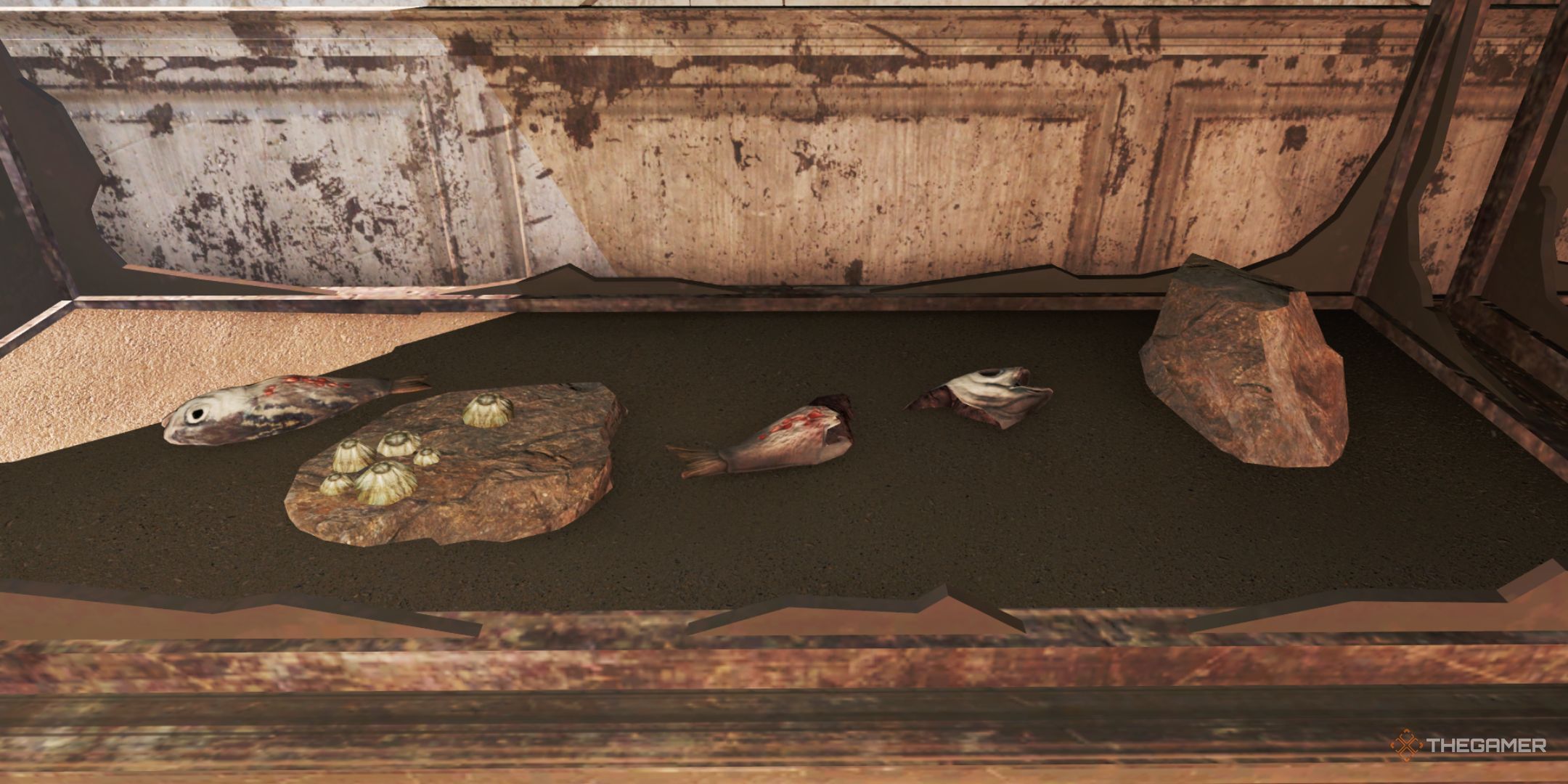 The Best Environmental Storytelling In Fallout 4