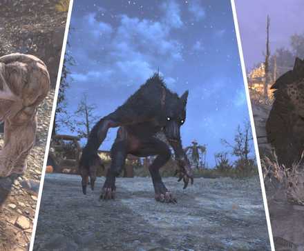 How To Get The Stimpak Diffuser In Fallout 76