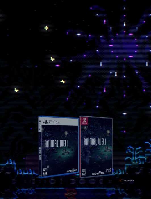 Animal Well Notes Animal Well Physical Edition Pre-Order Guide