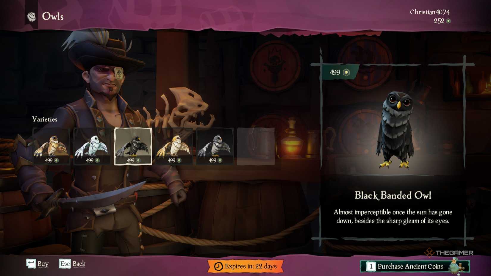 Where To Buy A Pet In Sea Of Thieves