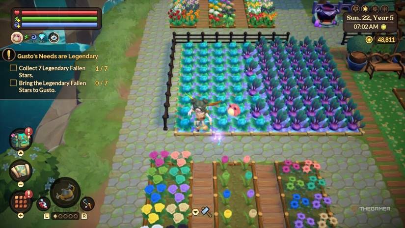 primula flower seeds Hethor Giant Primrose Mix, Primula