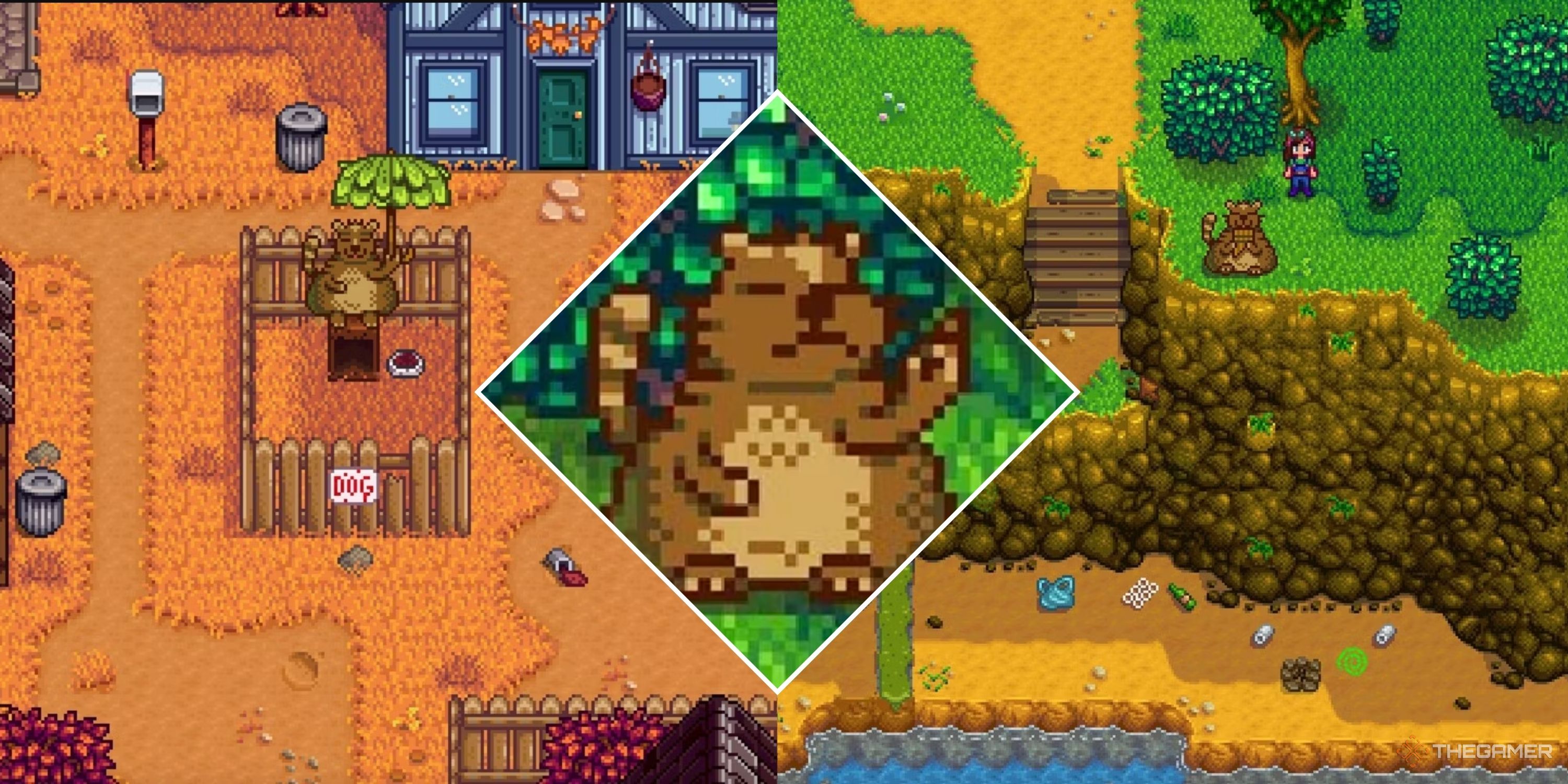 Collage image of Stardew Valley's trash bear at the dog pen, by the sewers, and a close up