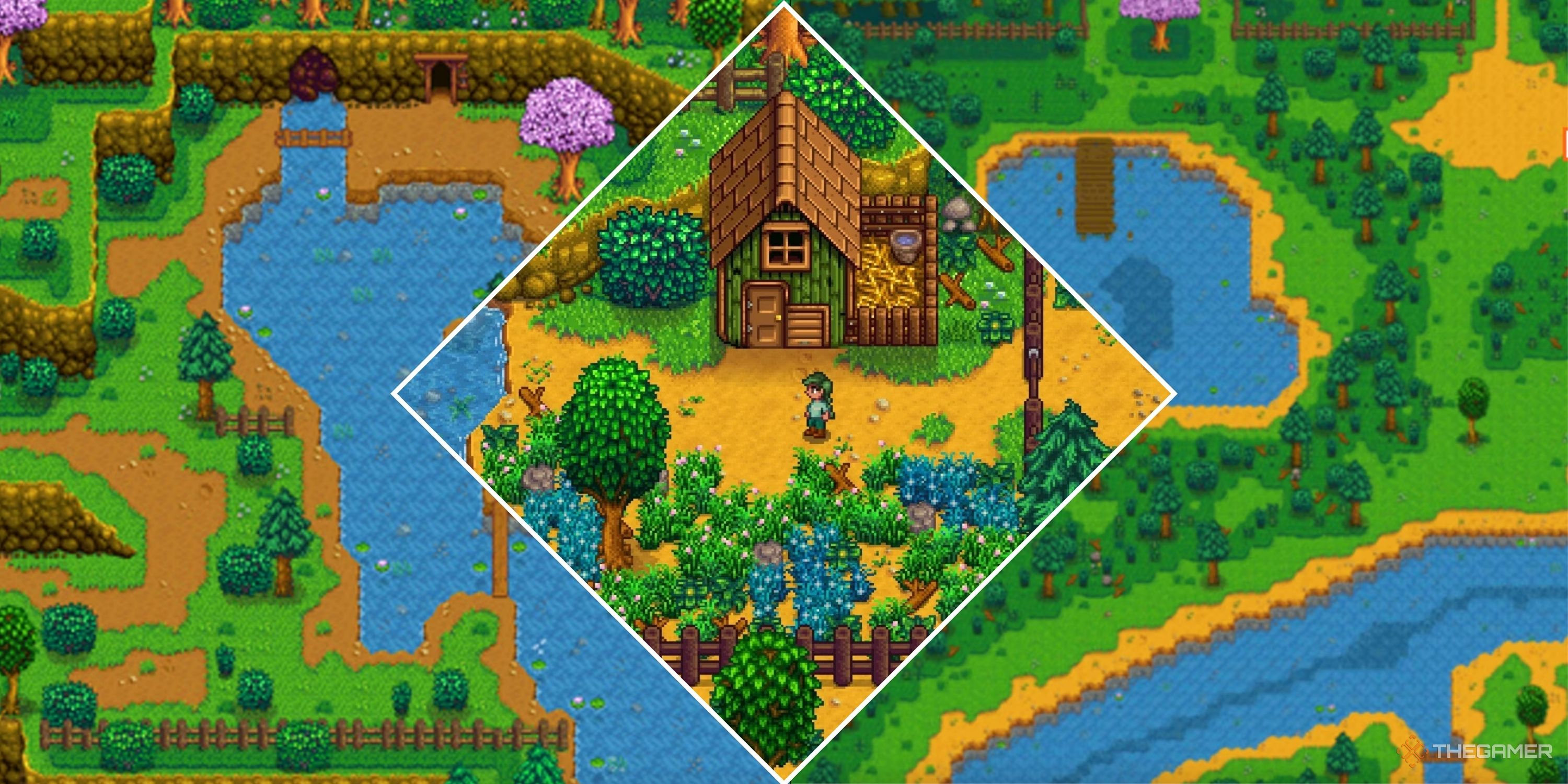 Collage image showing multiple areas surrounding Pelican Town and a player's farm in Stardew Valley