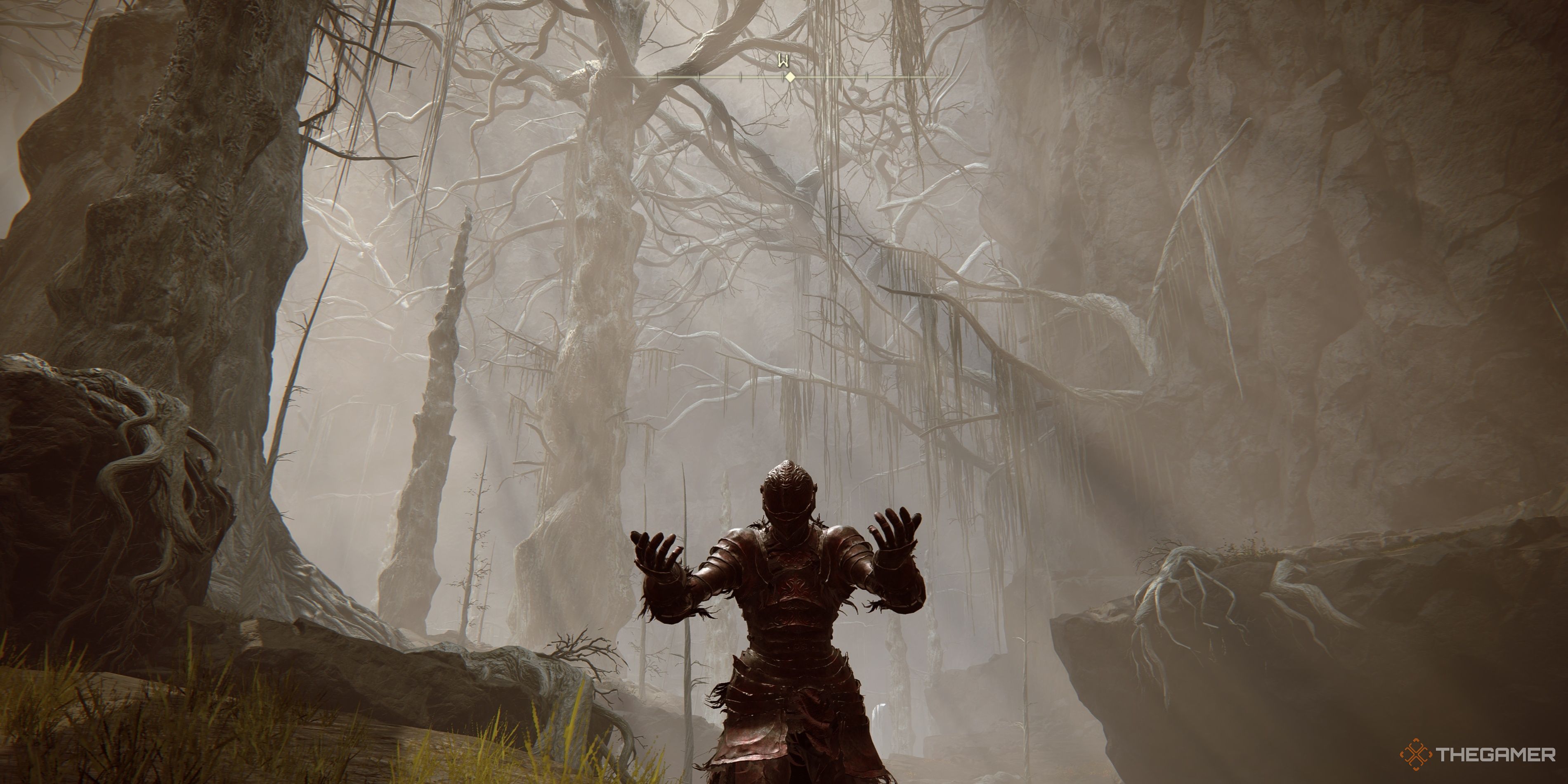 The Tarnished kneels in the Abyssal Woods in Elden Ring: Shadow of the Erdtree.