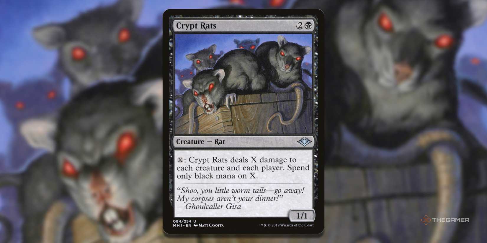 The Best Rat Creatures In MTG The Best Rat Creatures In MTG