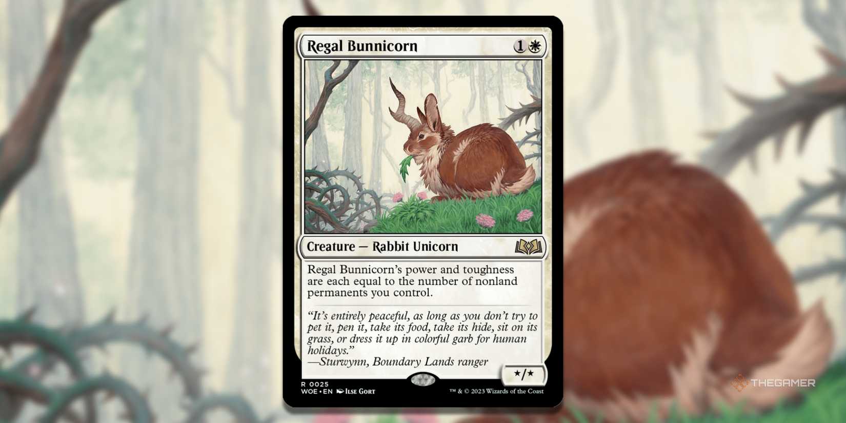 10 Best Rabbit Cards In MTG 10 Best Rabbit Cards In MTG