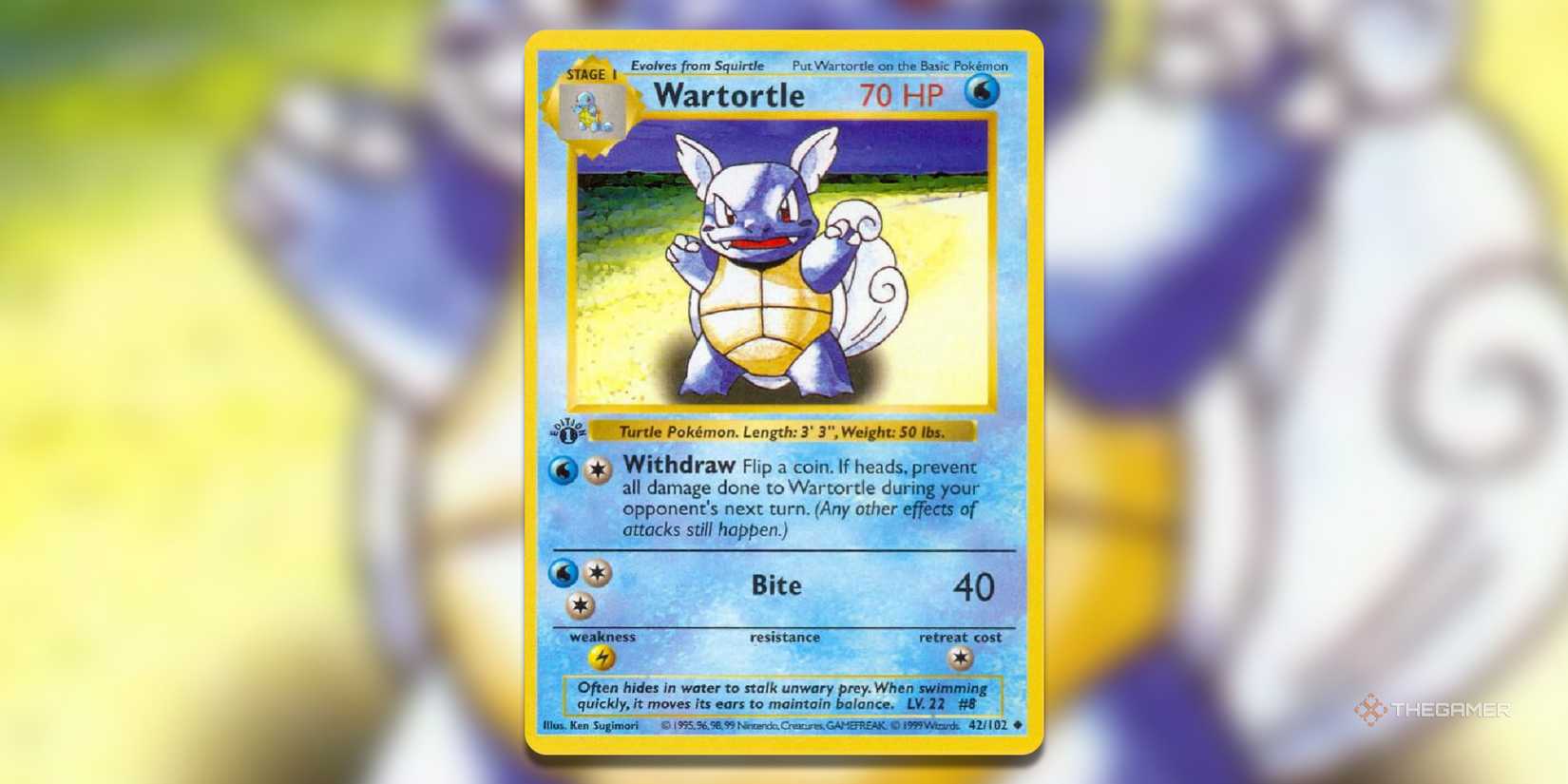 The Most Valuable Wartortle Cards In Pokemon TCG The Most Valuable Wartortle Cards In Pokemon TCG