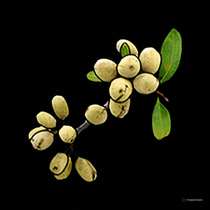 How To Get And Use Mixing Tables In Rust