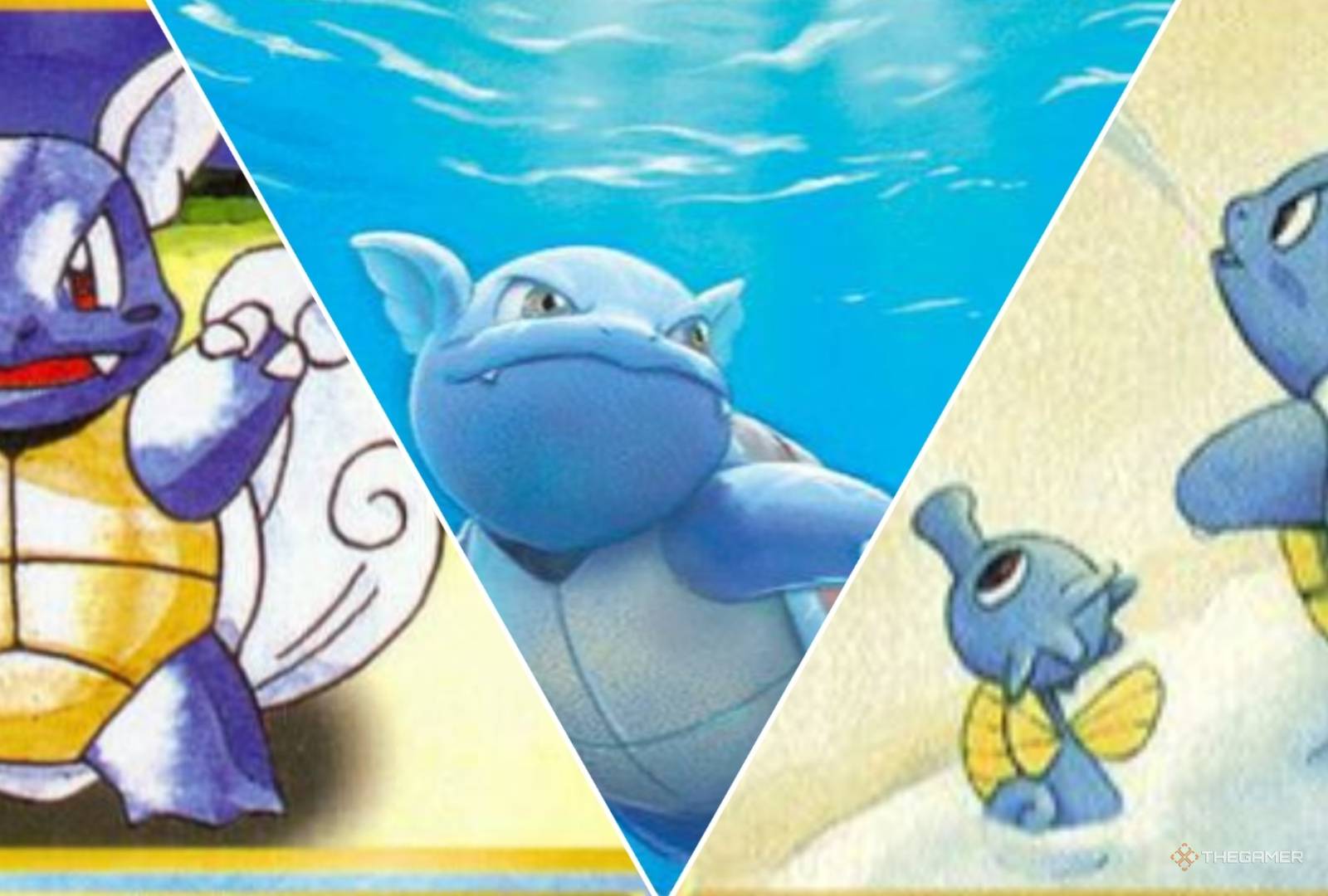 The Most Valuable Wartortle Cards In Pokemon TCG The Most Valuable Wartortle Cards In Pokemon TCG