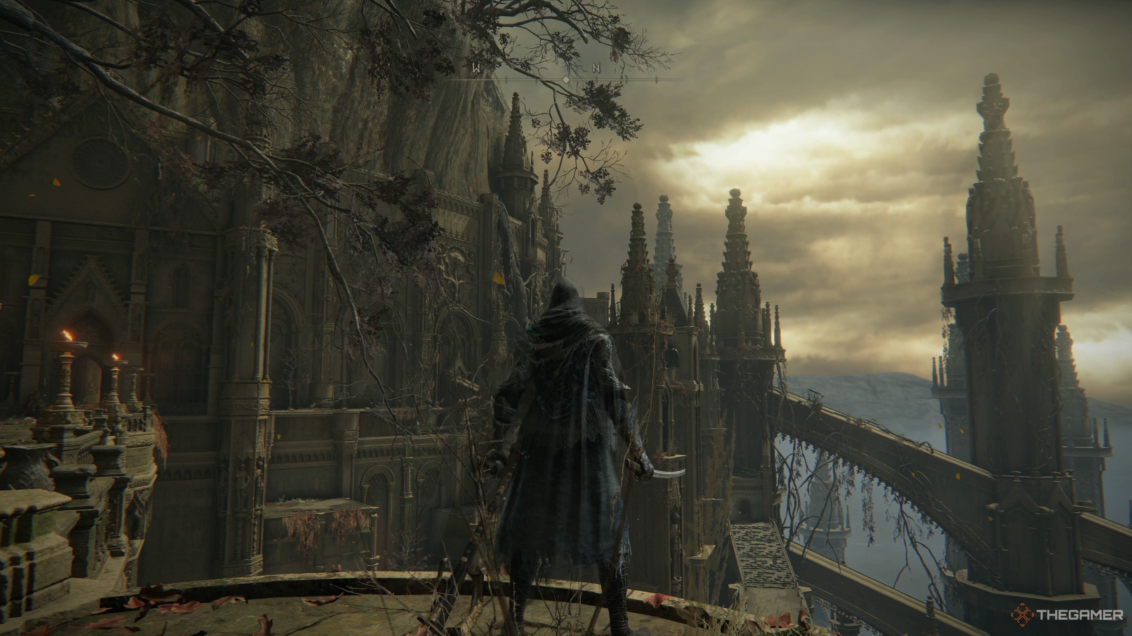 Why Did Miquella Put Himself In The Haligtree In Elden Ring?
