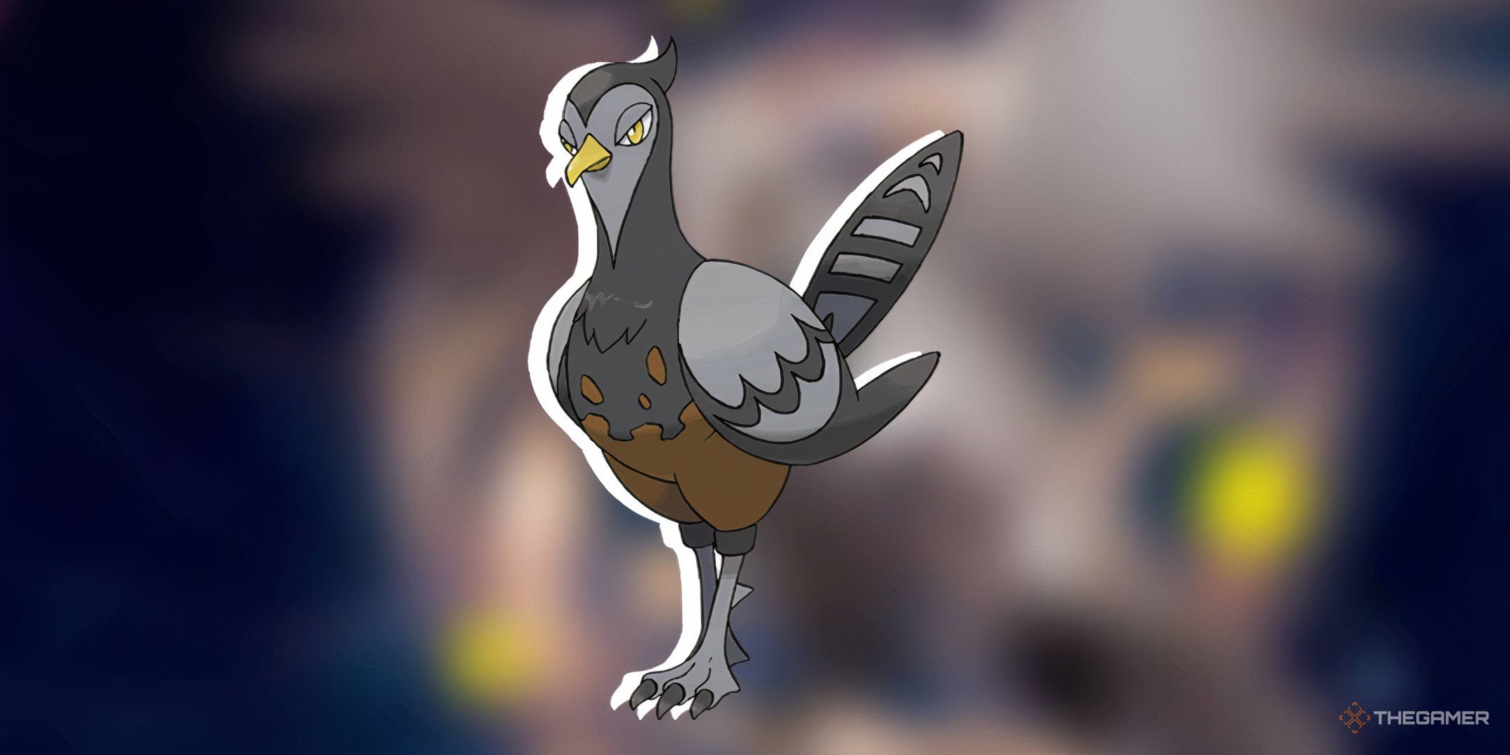 Ranking Every Regional Bird Pokemon
