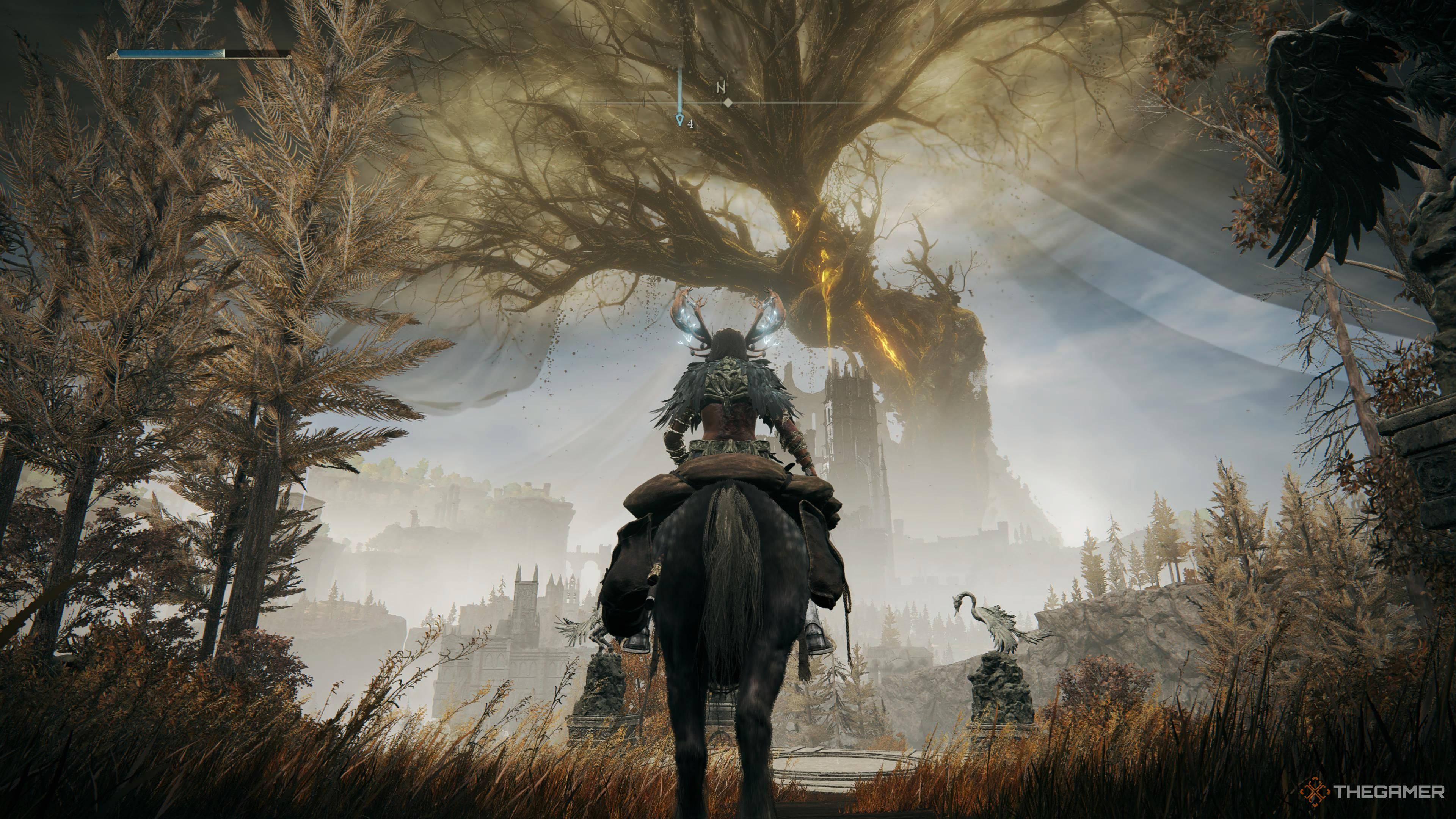 Why Did Miquella Put Himself In The Haligtree In Elden Ring?