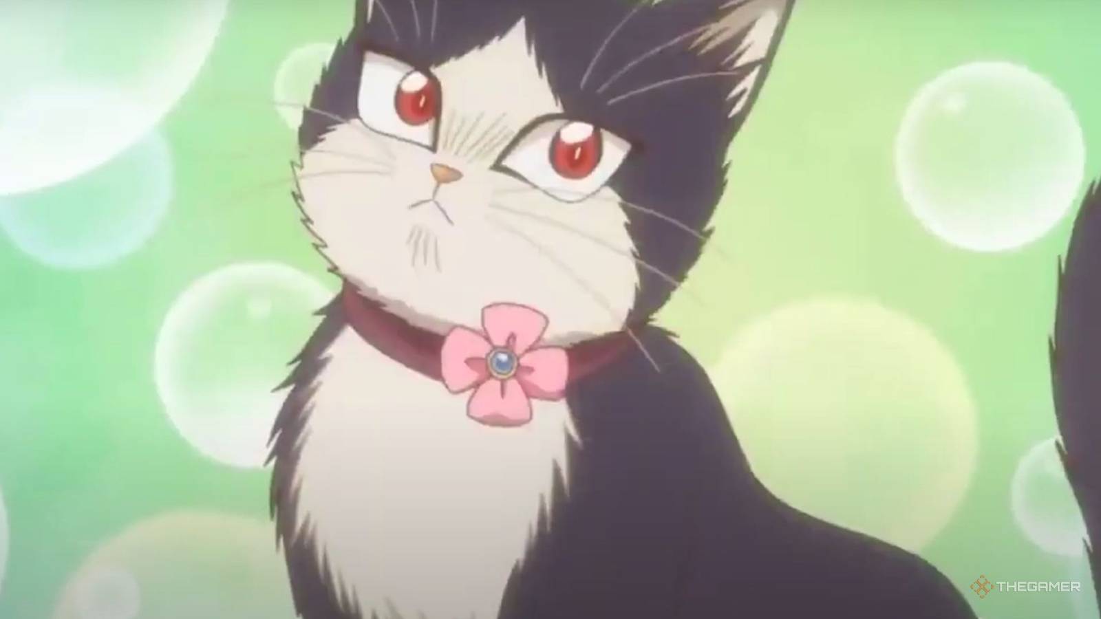 The Best Cats In Anime, image size:1600x900