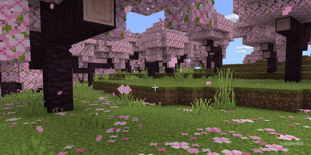 Minecraft On PS5 Pre-Order Guide: Price, Release Date, And Upgrading