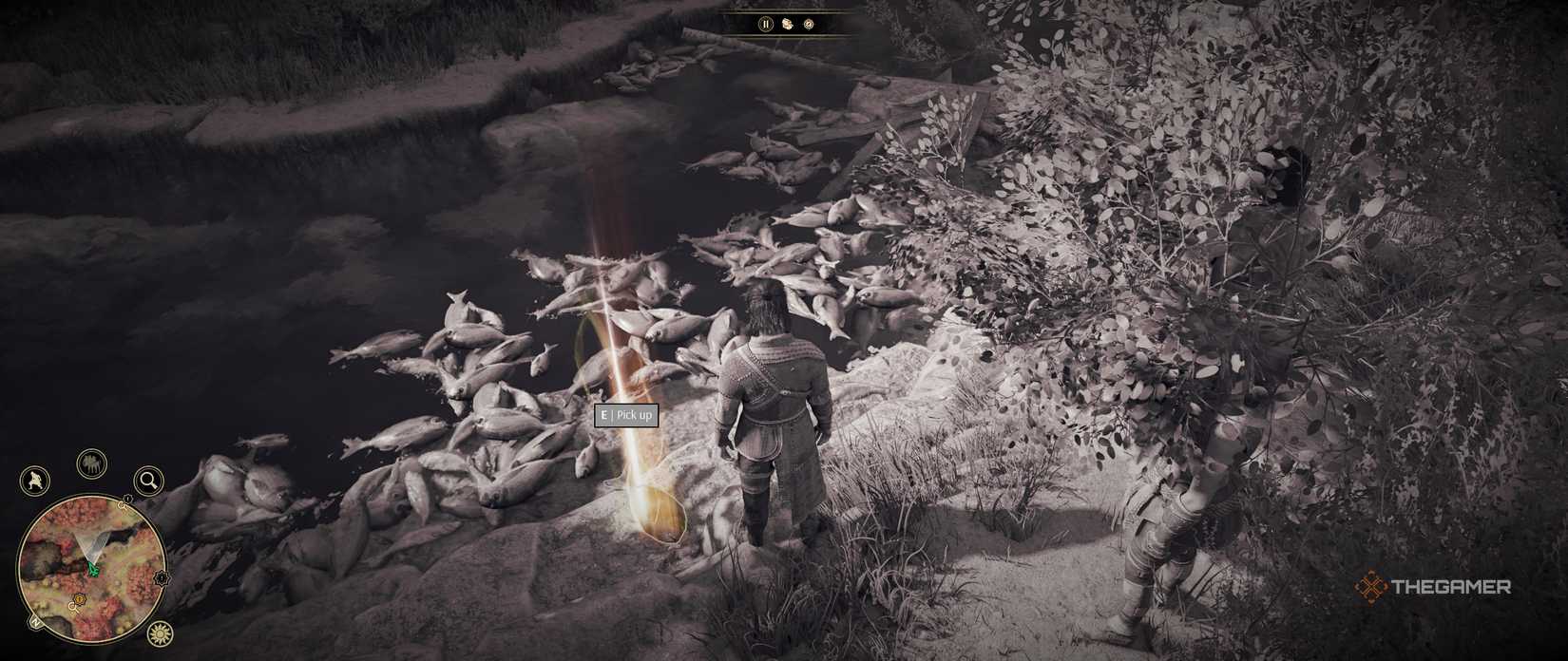 Dead fish in the fishing spot area of ​​Gridfall 2.