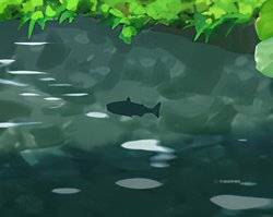 Every Fish And Where To Find It In Shin-Chan: Shiro And The Coal Town