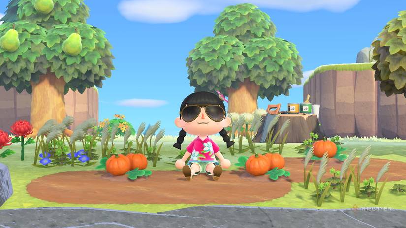 A villager sitting in the middle of pumpkins at the harvest ACNH Kapp'n island.