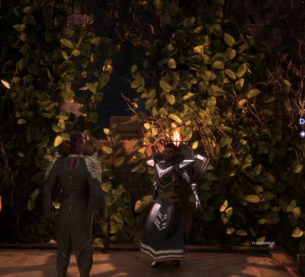 Davrin Rook How To Find The Art Exchange Location In Dragon Age: The Veilguard