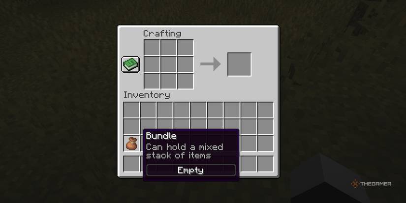 Inventory Management Was The Ultimate Enemy In These Games