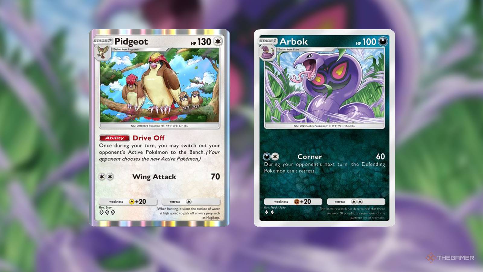 How To Build And Play An Arbok And Pidgeot Deck In Pokemon TCG Pocket How To Build And Play An Arbok And Pidgeot Deck In Pokemon TCG Pocket