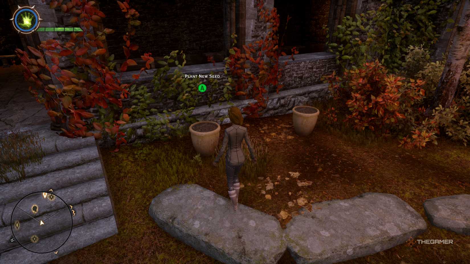 Where To Find All Seeds In Dragon Age: Inquisition