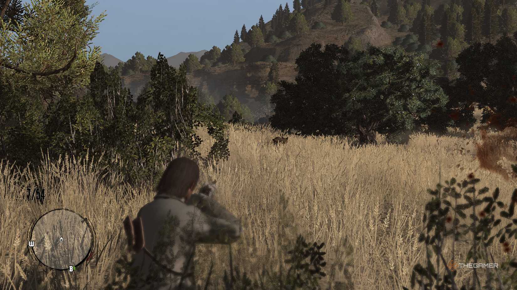 The Best Tips And Tricks For Playing RDR For The First Time