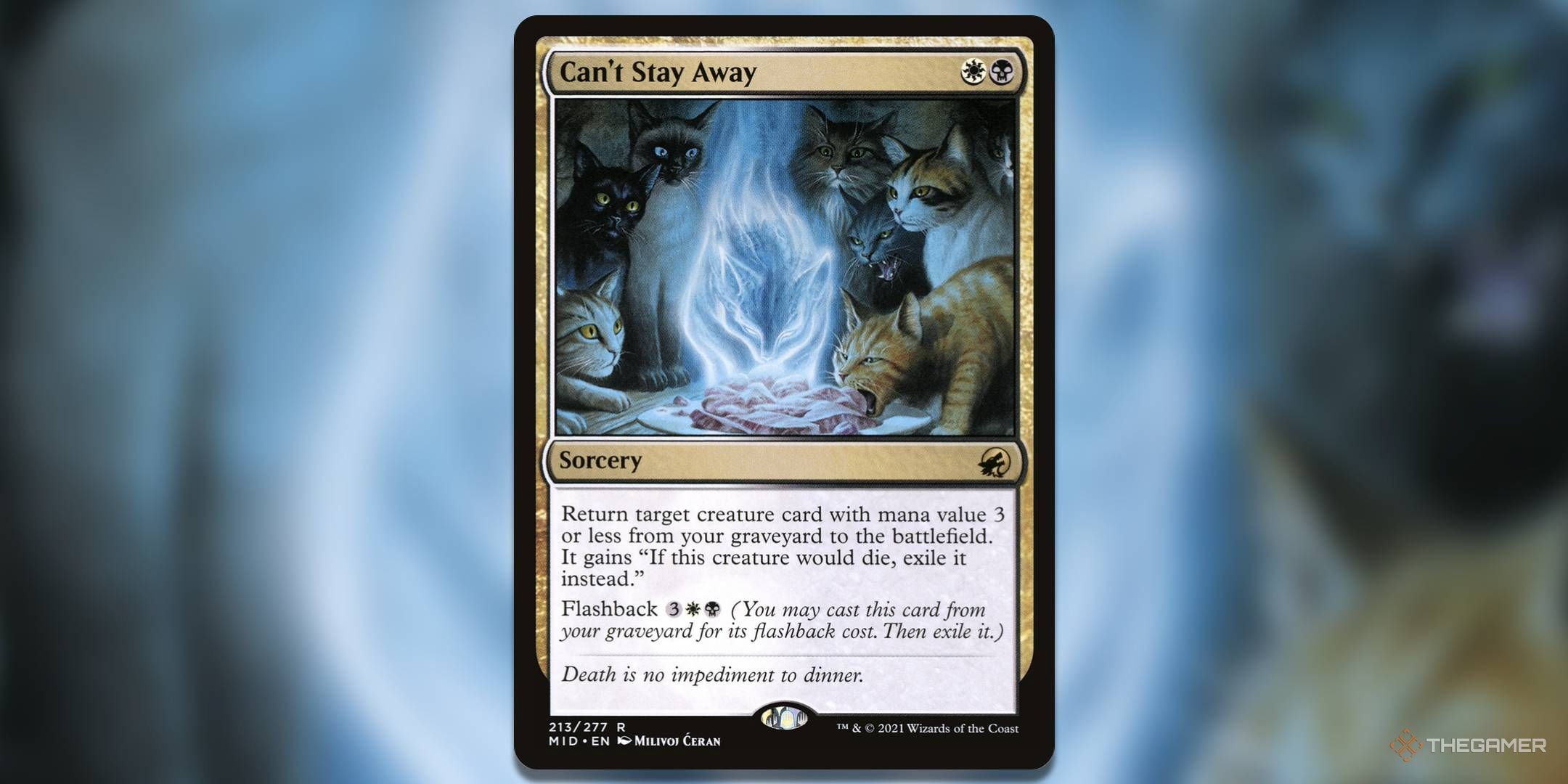 What Is Flashback In MTG?