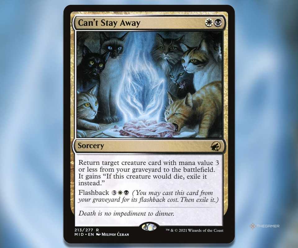 What Is Flashback In MTG? What Is Flashback In MTG?