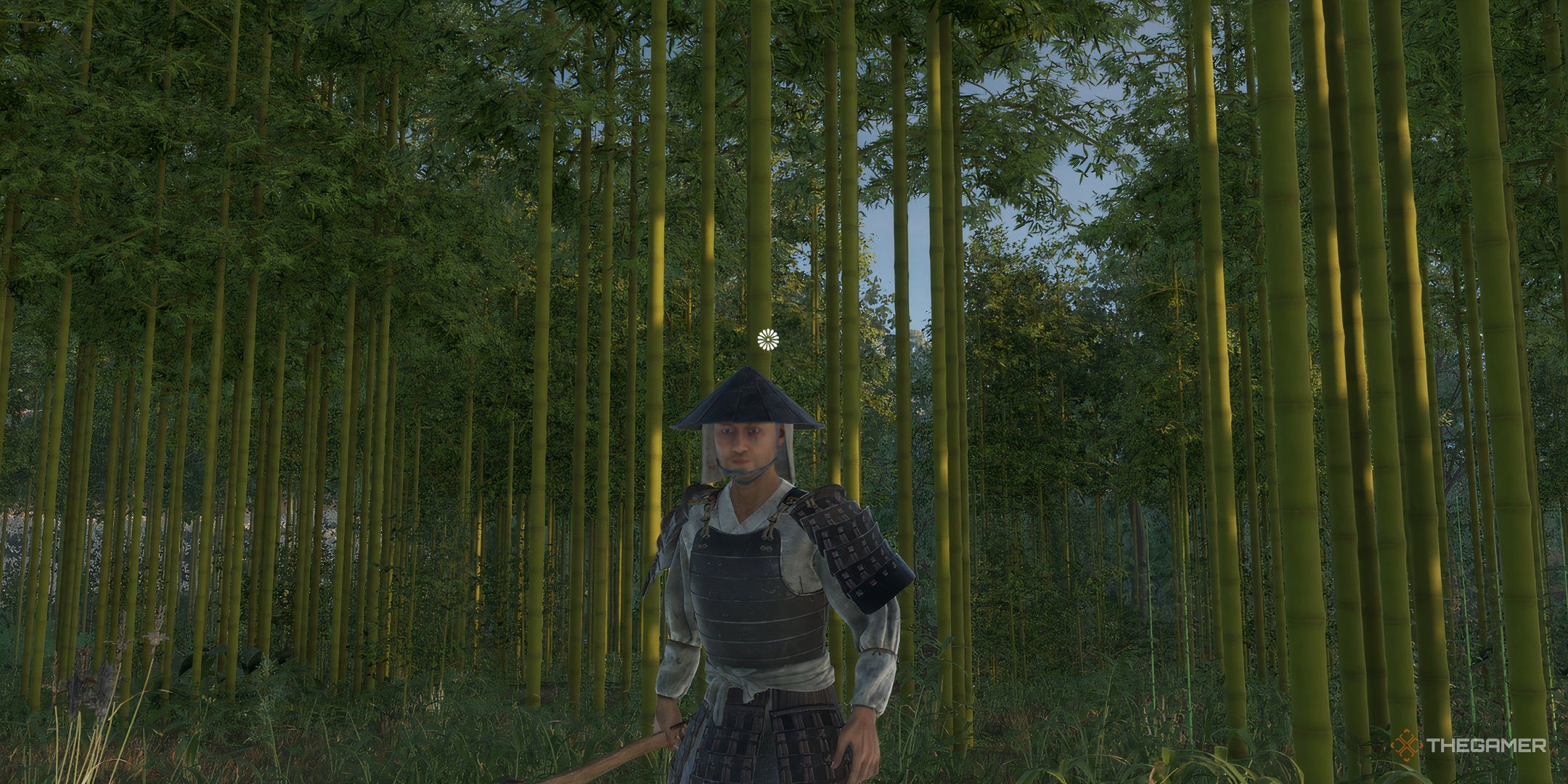 Where To Find Bamboo In Sengoku Dynasty