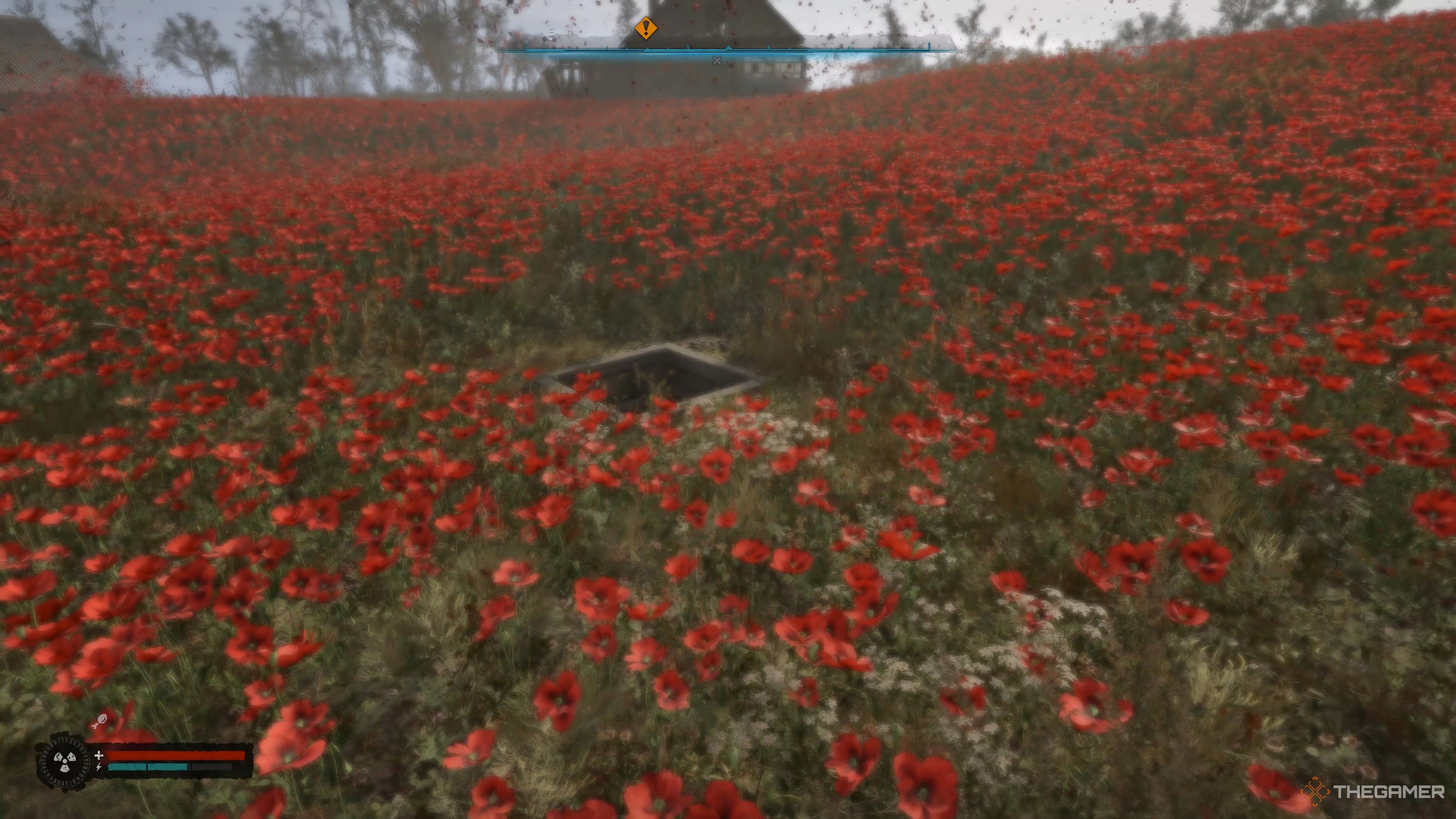 Where To Find The Root Cellar In Stalker 2: Heart Of Chornobyl