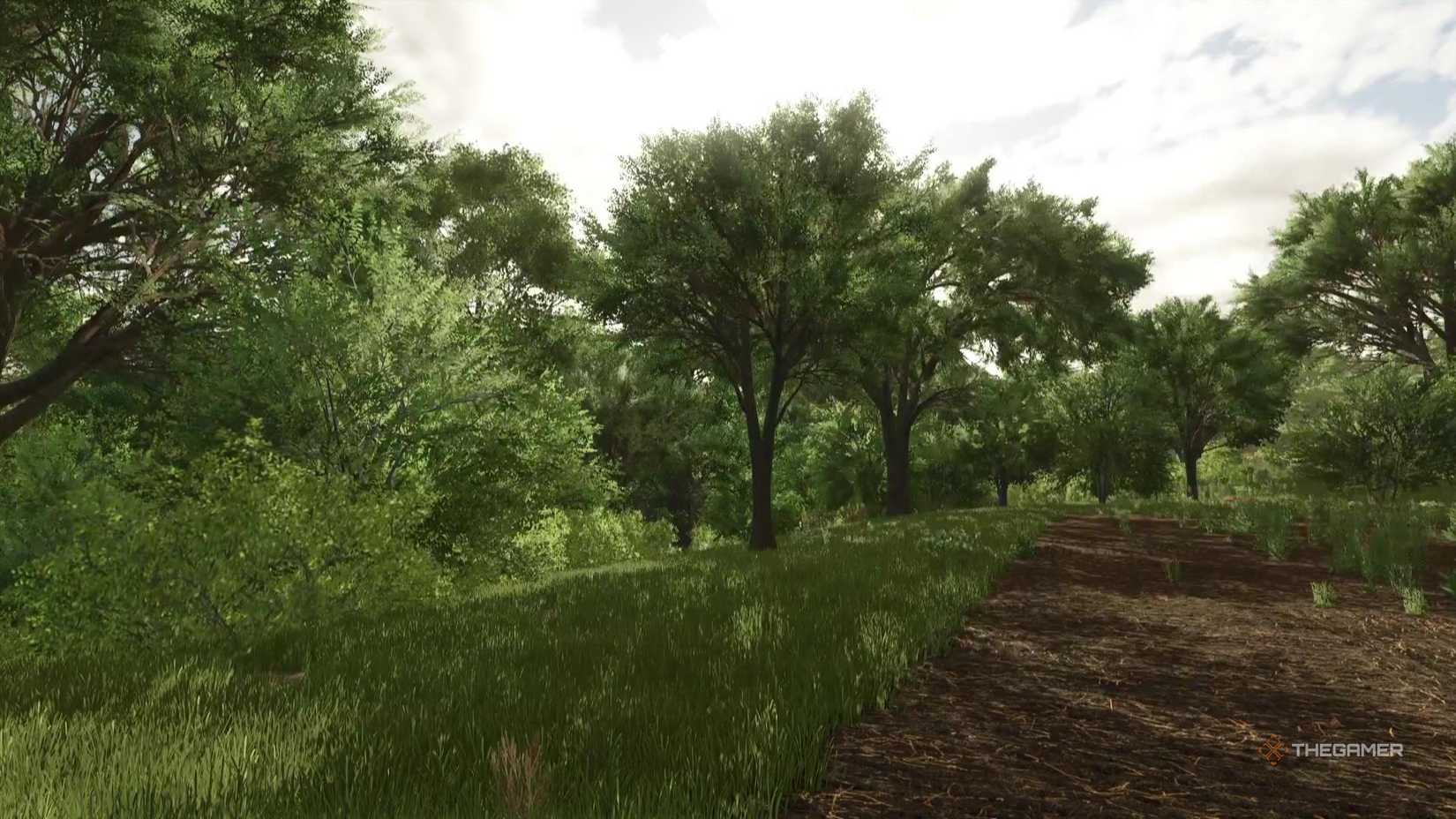 Fs25 Tree Types Complete Forestry Guide For Farming Simulator 25
