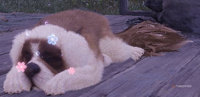 The Best Ways To Farm Animal-Grooming Insight In Infinity Nikki