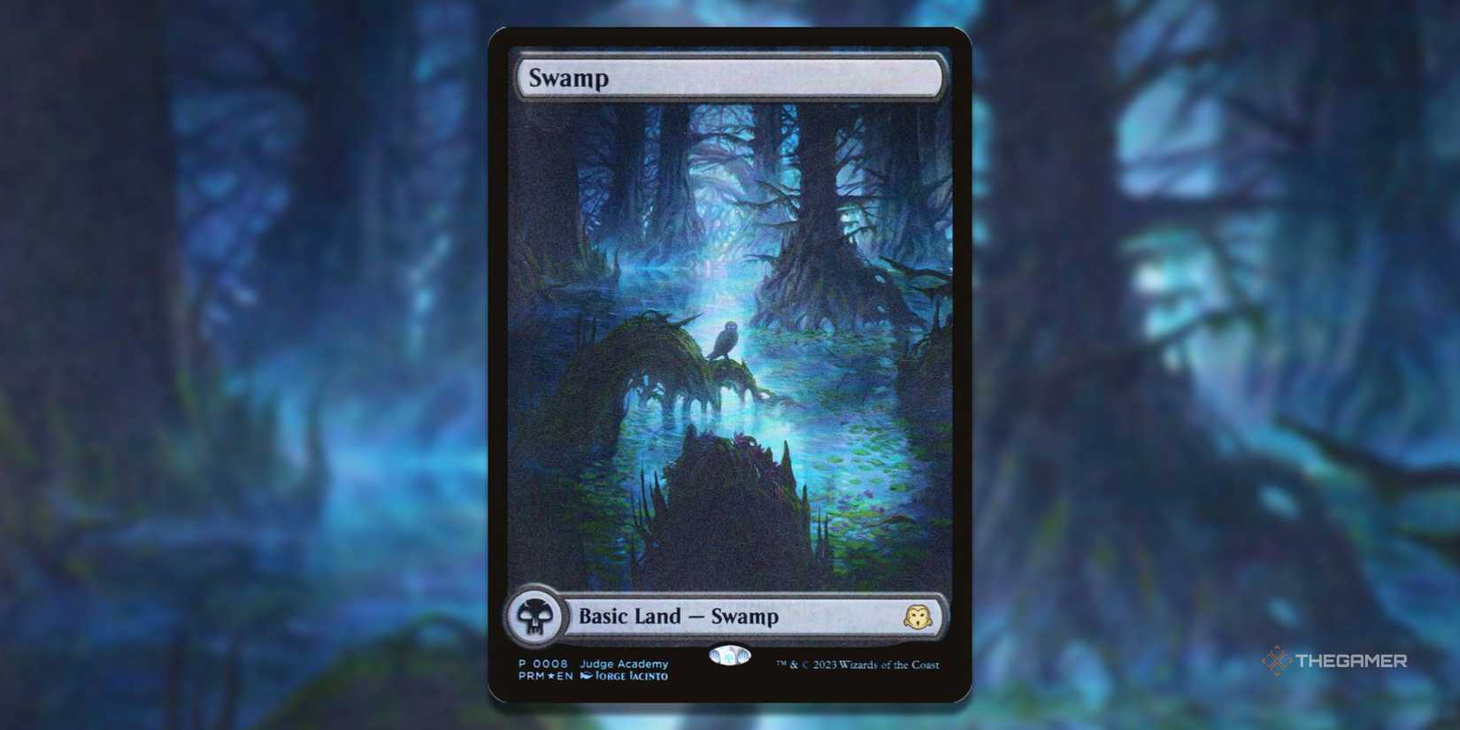 The Most Expensive Basic Swamp MTG Cards Of All Time The Most Expensive Basic Swamp MTG Cards Of All Time