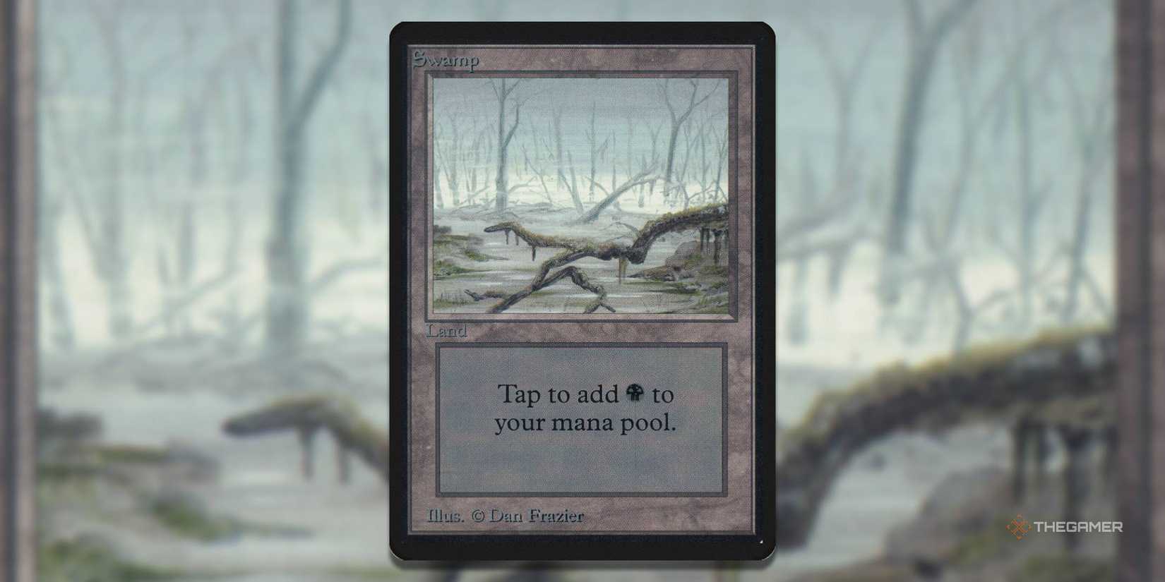 swamp card mtg Amazon.com: Magic: the Gathering - Swamp (260/274) main image 0