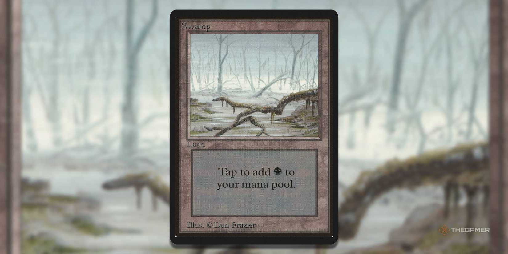 The Most Expensive Basic Swamp MTG Cards Of All Time The Most Expensive Basic Swamp MTG Cards Of All Time
