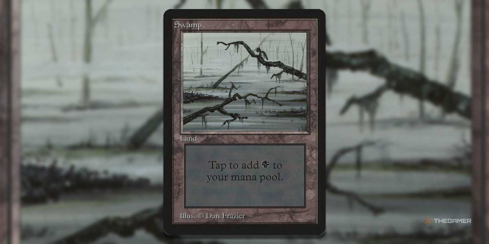 mtg land cards worth money 500 Magic: The Gathering Basic Lands 10 Crazy Valuable MTG Cards