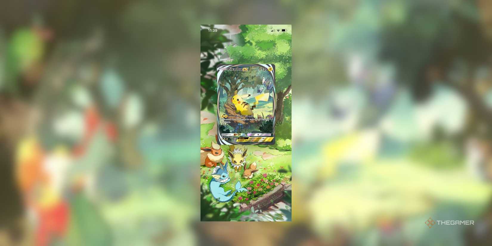The Best Display Boards In Pokemon Pocket