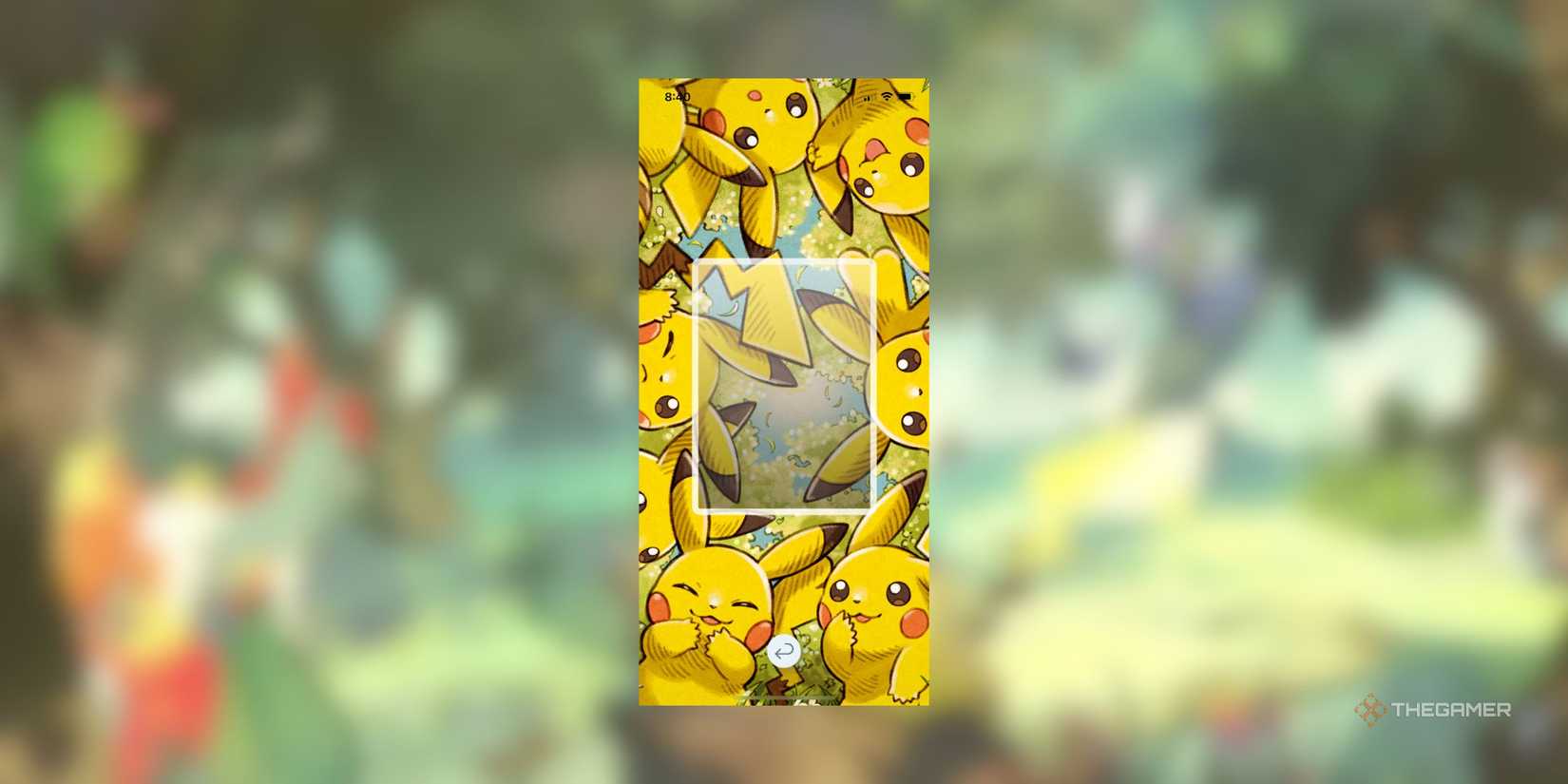 The Best Display Boards In Pokemon Pocket