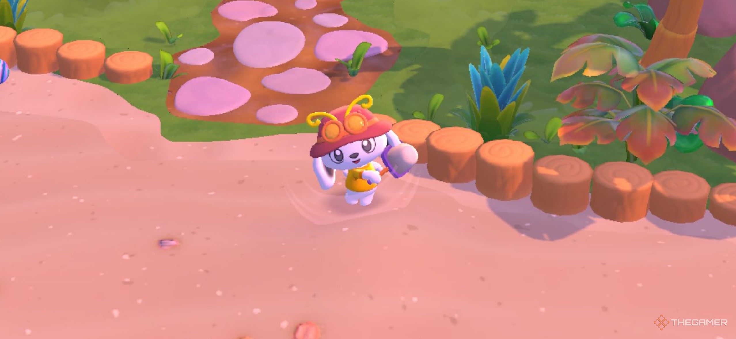 How And Where To Catch All Critters In Hello Kitty Island Adventure