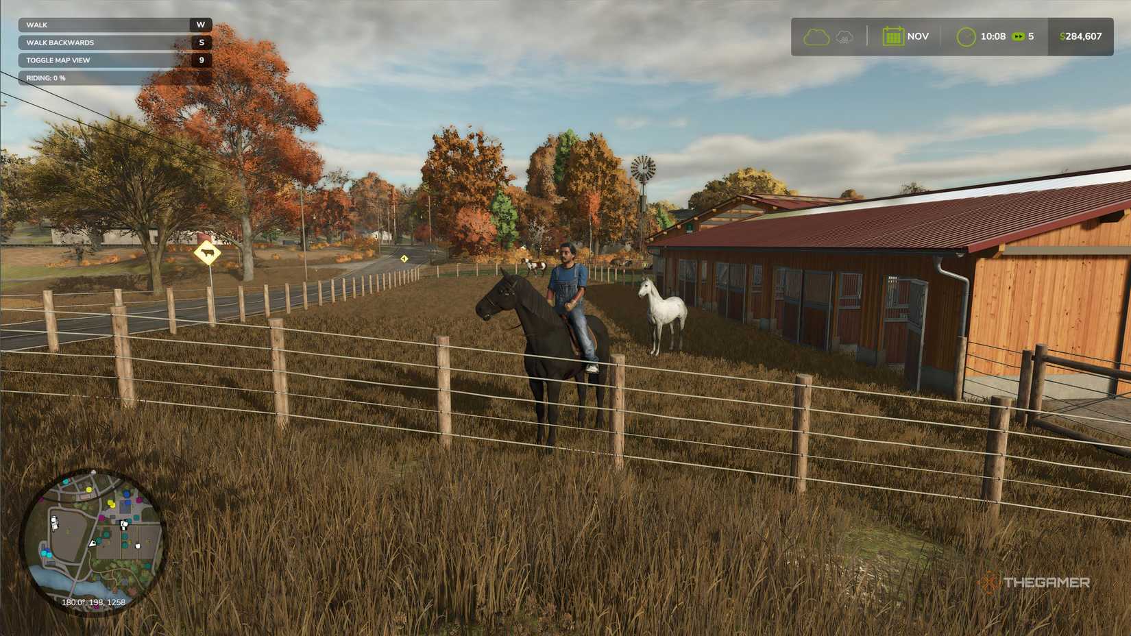 How To Care For Horses In FS25